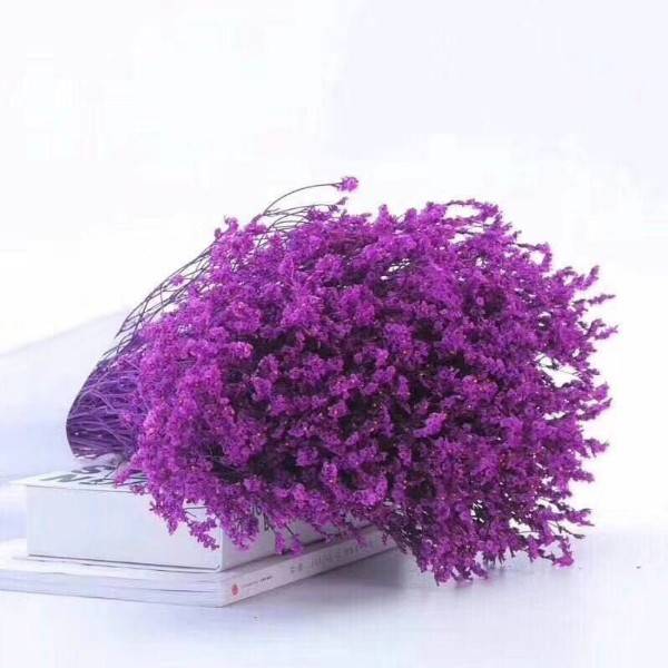 紫色水晶草